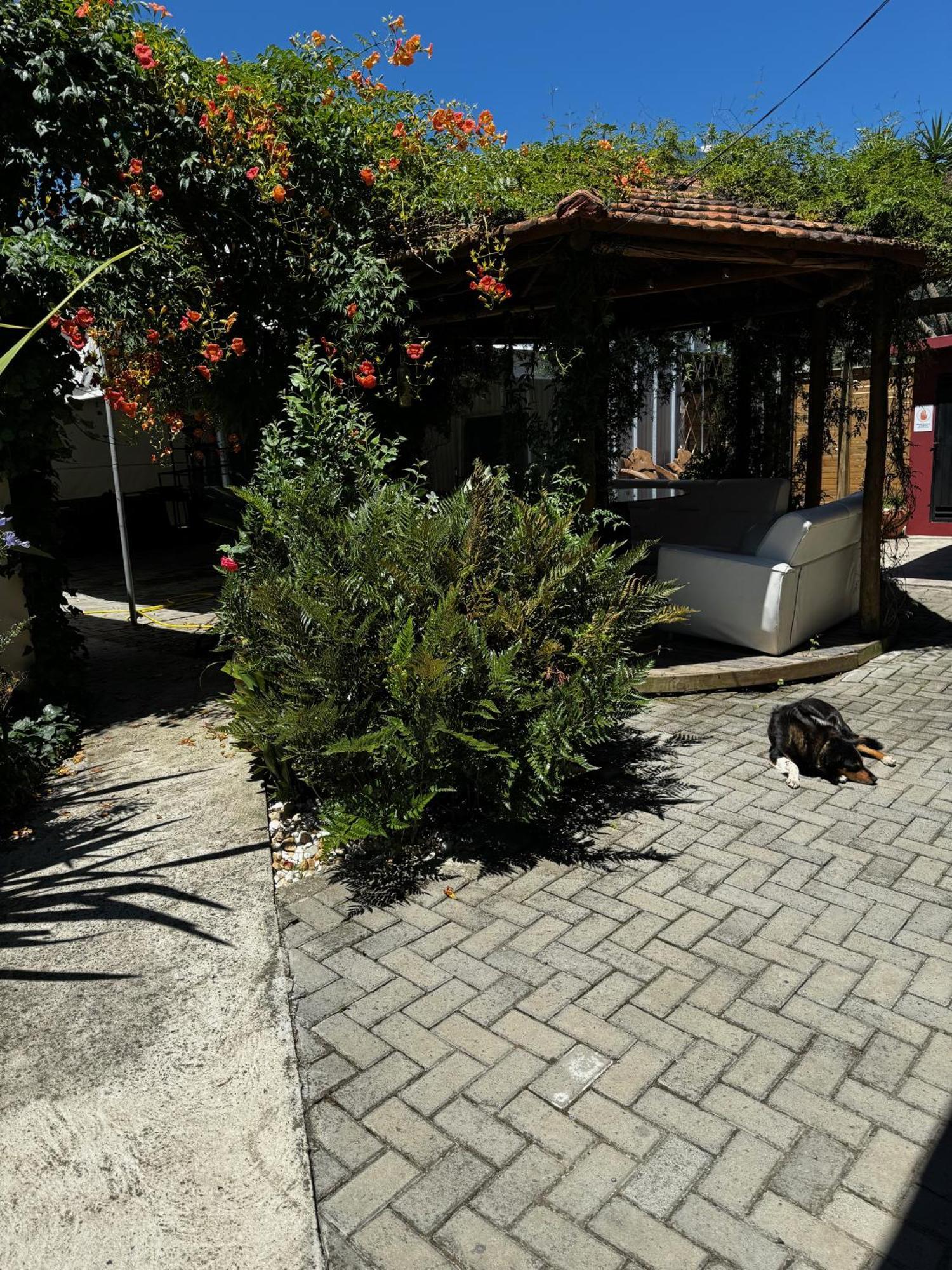 Pousada Upserra Urubici Bagian luar foto